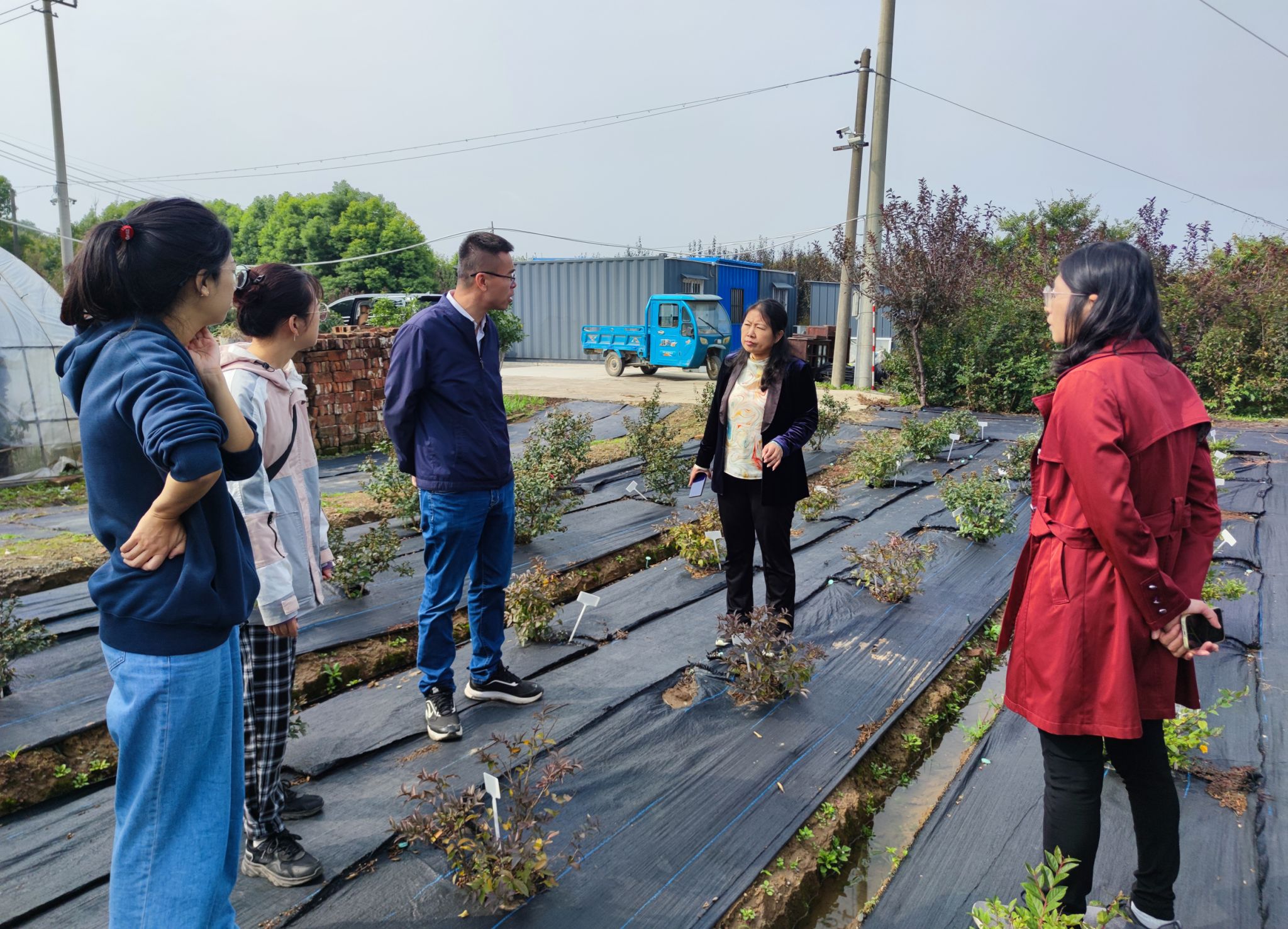 友圃 花木基地 采购 建议 技术指导