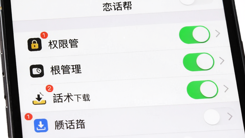 主体:手机屏幕展示“恋话帮”的设置页面,包含“权限管理”、“话术下载”等选项。布局:设置列表从上到下排列,有开关按钮。排版:每个设置项左侧为图标和名称,右侧为开关或箭头。风格:简洁的iOS风格设置界面,白底黑字。细节:开关为绿色,部分选项有红色角标。画质:高清,干净整洁,无多余元素。