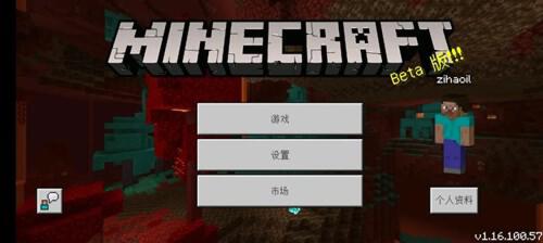 我的世界minecraft1.16.0.57基岩版国际版模组下载更新资源合集