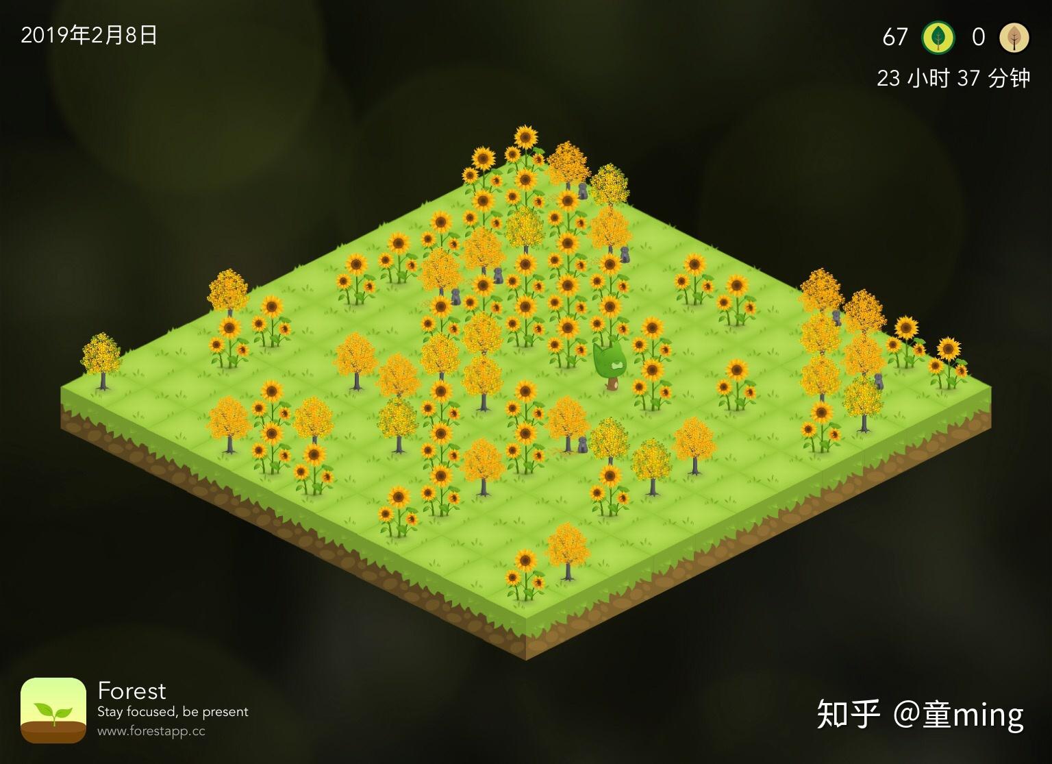 Tiny Leaves 安卓版 关卡攻略