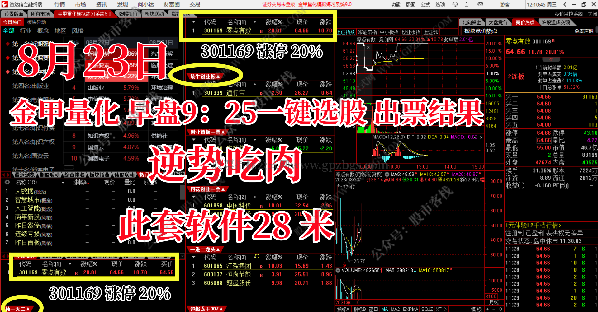 金钻 安卓版 软件界面
