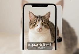 migaworld猫咖馆下载安装最新版,云养猫互动手游推荐