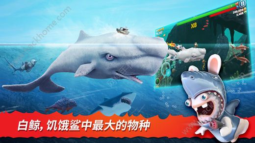 饥饿鲨进化4.5.1.0金币钻石手机安卓版(Hungry Shark) 饥饿鲨进化4.5.1.0金币钻石手机安卓版(Hungry Shark)