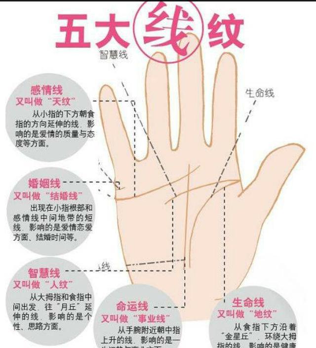 掌心有信 智慧线 健康运势 手相解读