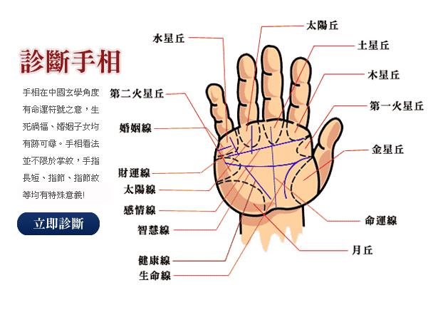 掌心有信 手相健康密码 手掌纹路解读