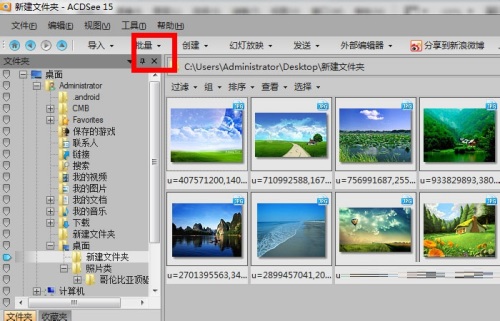 ACDSee 2021 安卓版 批量处理