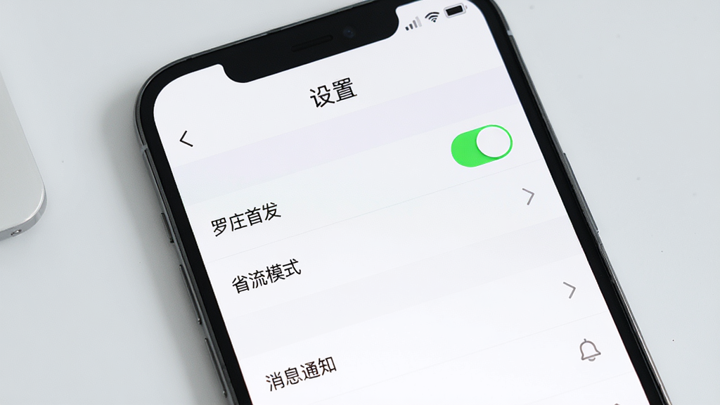 主体:手机屏幕上显示“罗庄首发”设置页面,包含“省流模式”和“消息通知”选项。布局:手机正放,背景为浅灰色。排版:设置列表清晰,开关按钮明显。风格:简洁清新。细节:屏幕上方有“设置”标题,下方有多个设置项。画质:高清,干净,无多余元素。