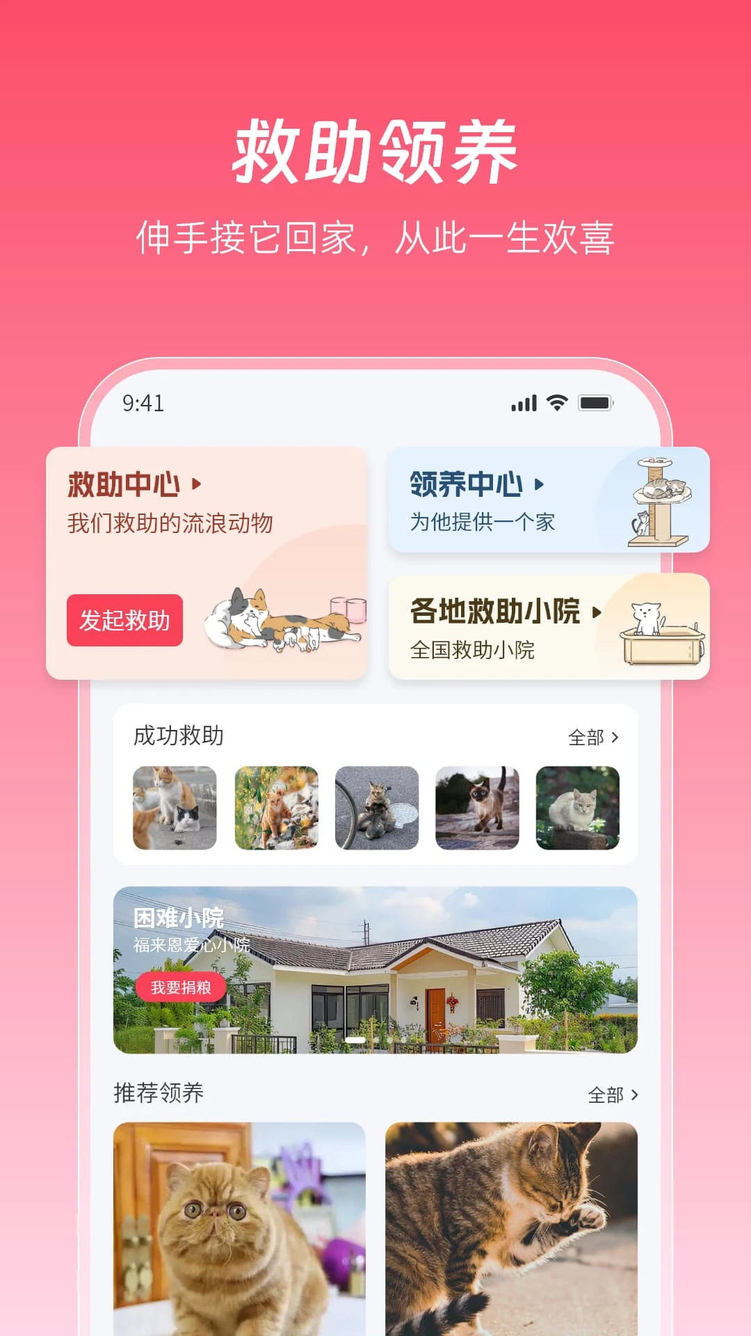 老疯杨1.2.10 动物救助公益 老疯杨1.2.10 动物救助公益