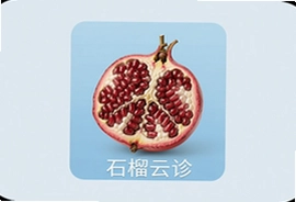 石榴云诊线上问诊,24小时医生在线咨询快通道