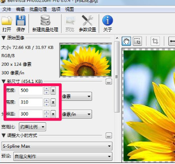 PhotoZoom Pro 放大图片 使用技巧