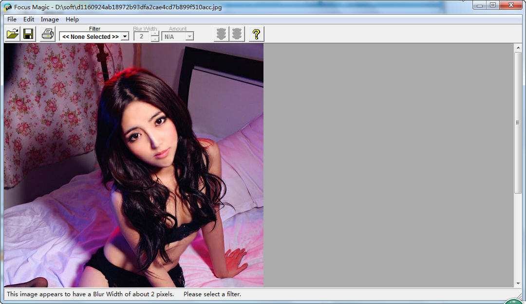 Focus Magic6.0.2 图像清晰增强 Focus Magic6.0.2 图像清晰增强