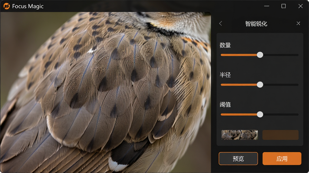 主体:Focus Magic软件界面,展示“智能锐化”功能,背景是一张带有细腻羽毛纹理的鸟类照片。布局:右侧有锐化参数面板,包括“数量”、“半径”、“阈值”滑杆。排版:界面干净,参数下方有“预览”和“应用”按钮。风格:专业摄影后期软件风格,深色背景搭配橙色高光。细节:羽毛纹理从柔和变得锐利分明,无噪点,软件名称“Focus Magic”显示在窗口标题栏。画质:高清晰度,干净无多余元素。