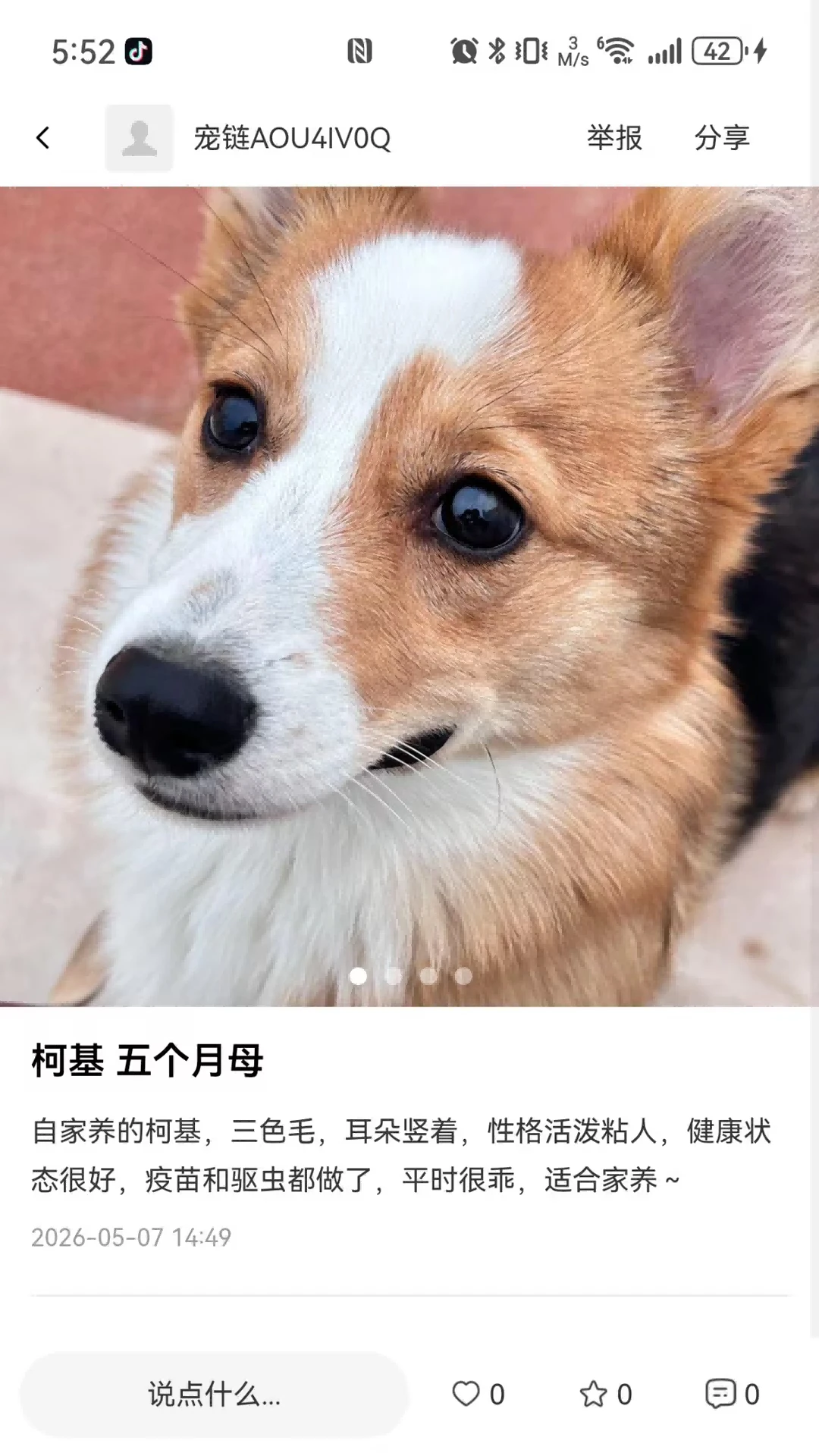 ����CwdS1.4.4 �����罻