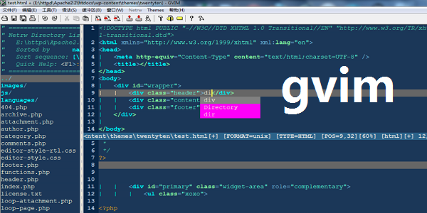 gVim 操作界面 截图