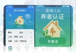 衡水人社养老保险资格认证app官方下载渠道及操作指南