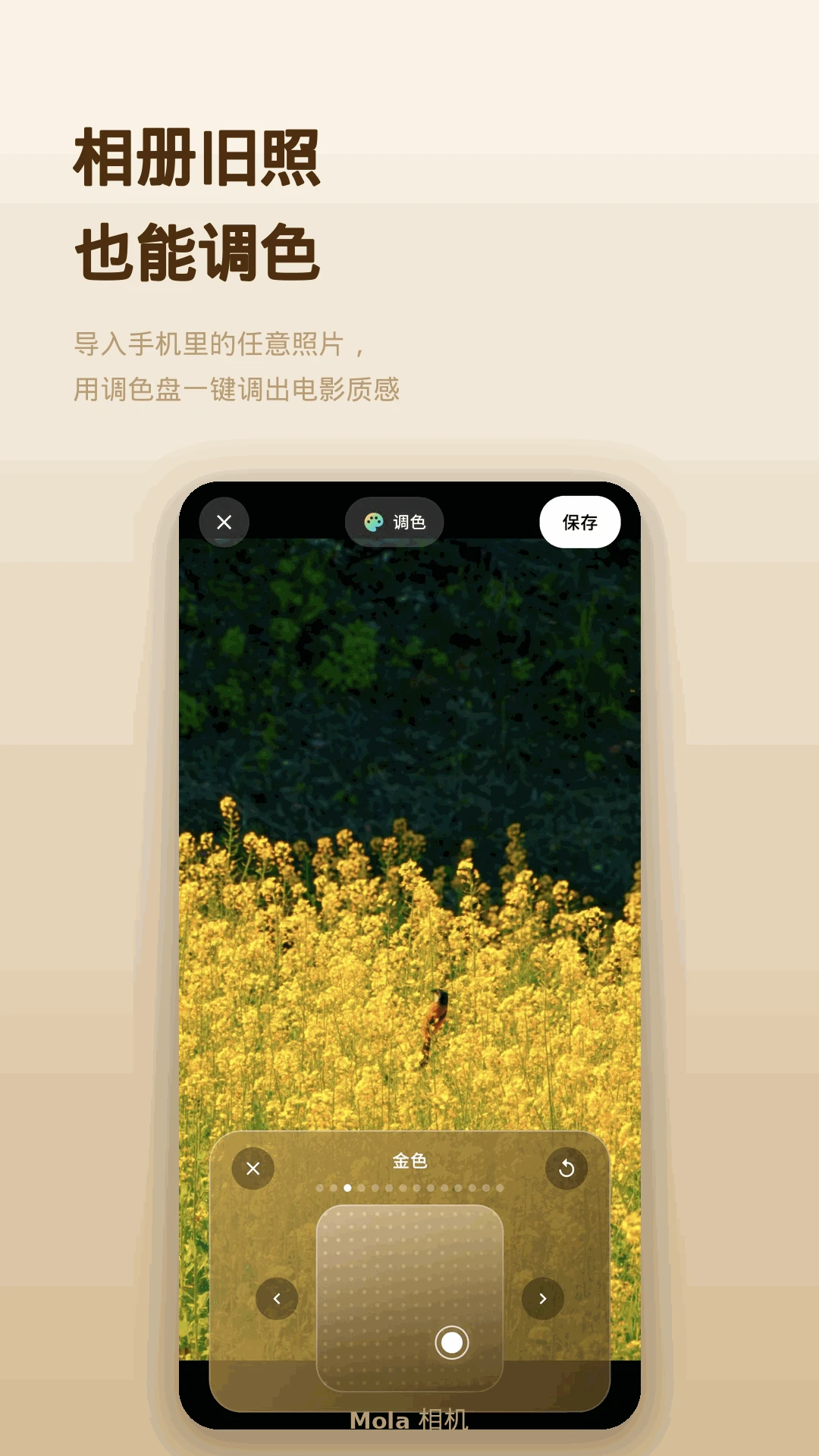 Mola���2.4�� ������Ӱ����