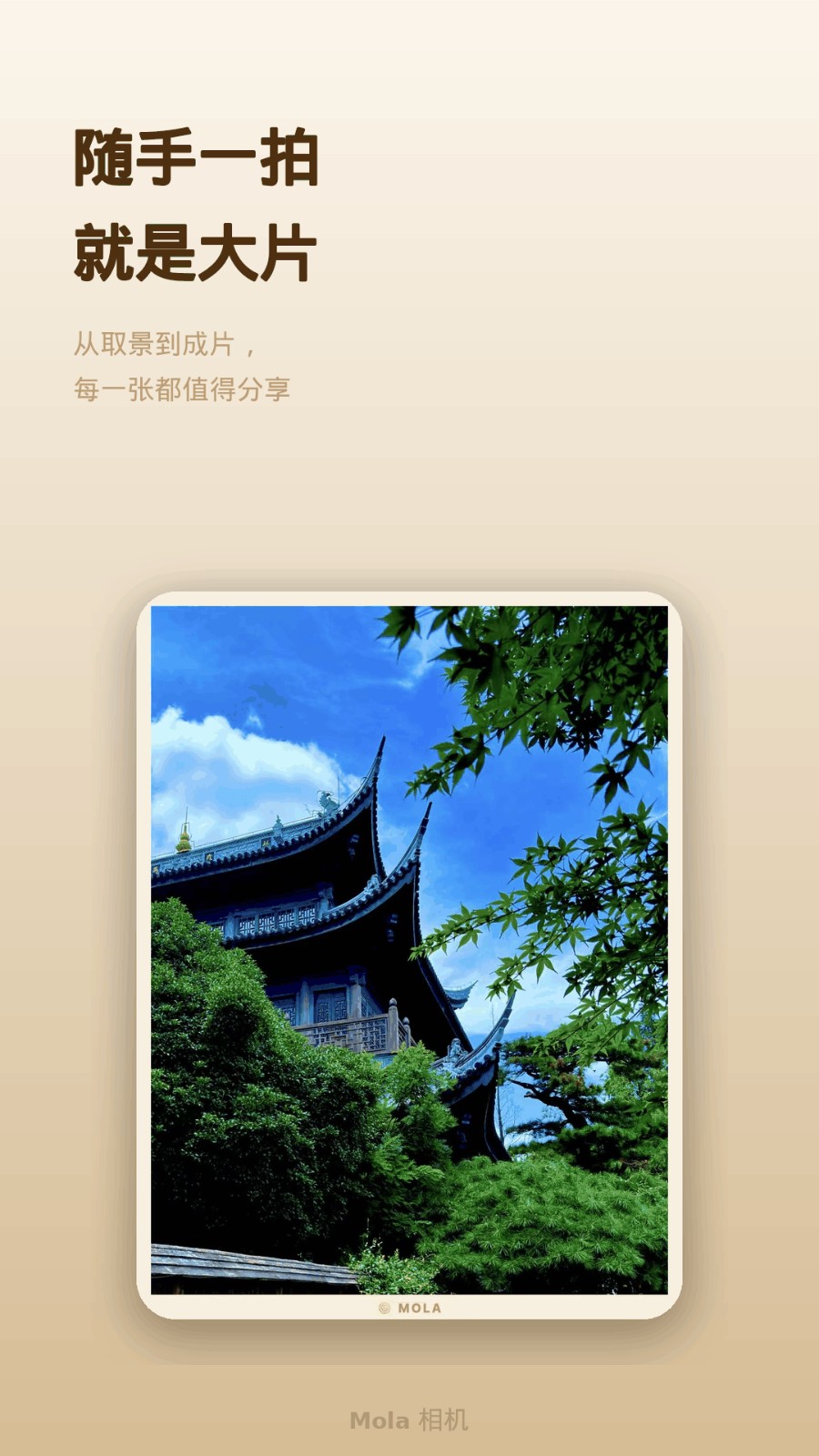 Mola���2.4�� ������Ӱ����