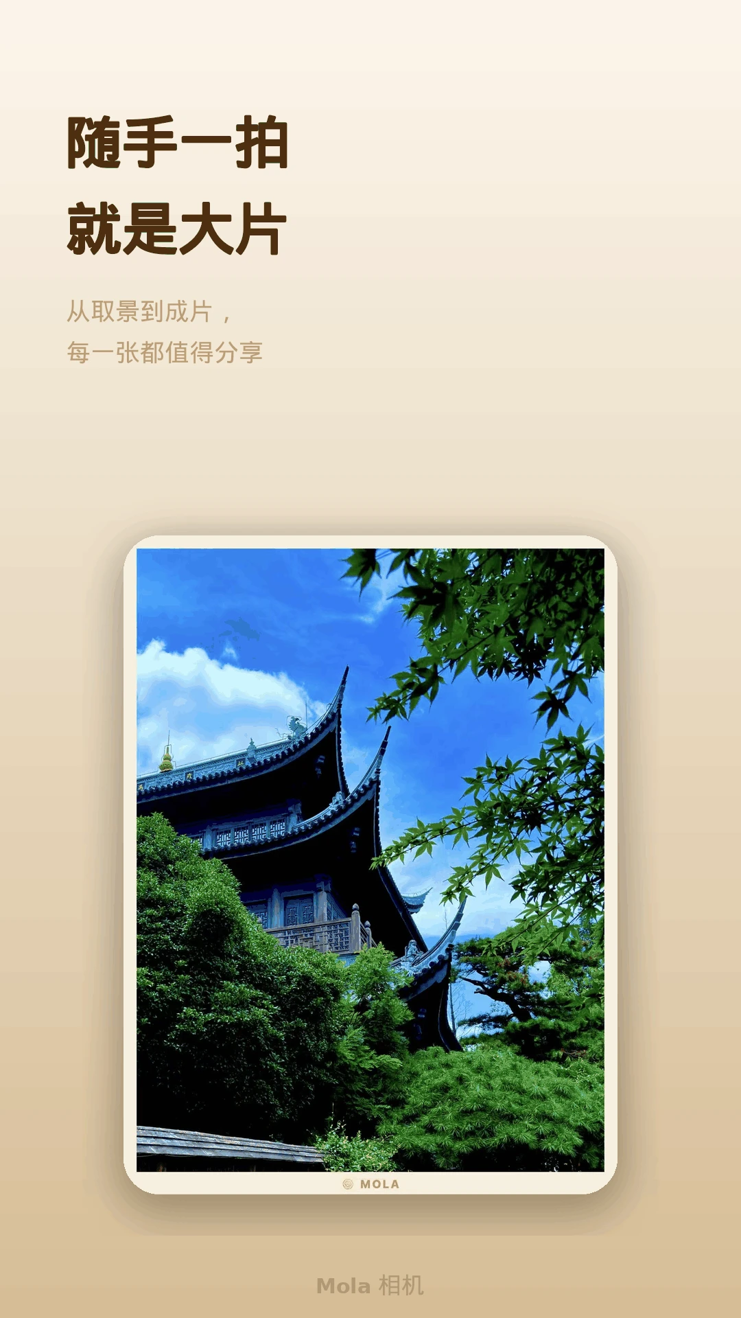 Mola���2.4�� ������Ӱ����