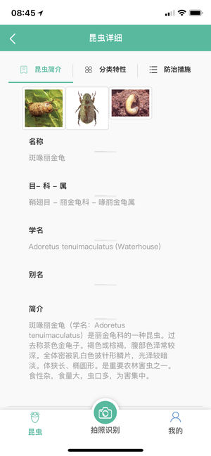 江西昆虫识别软件官方版app下载 江西昆虫识别软件官方版app下载