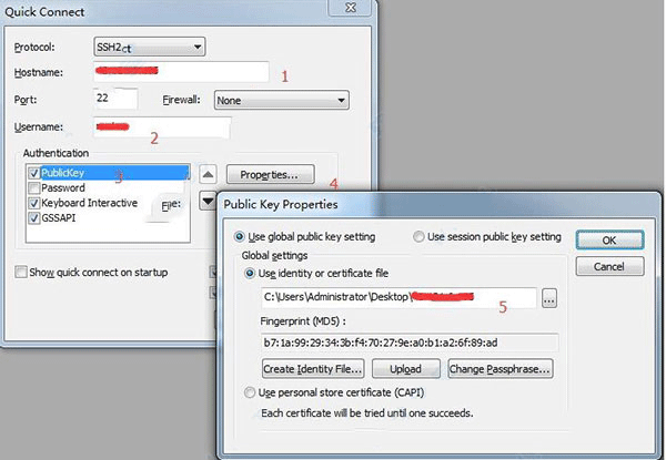 SecureCRT9.5.1 终端连接工具 SecureCRT9.5.1 终端连接工具