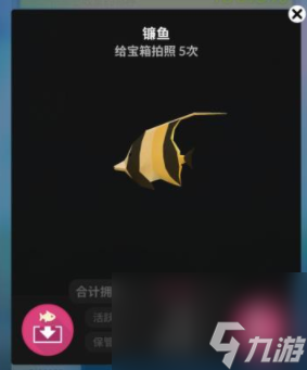 �ˮ���һ����������汾�ٷ����°������㿪������
