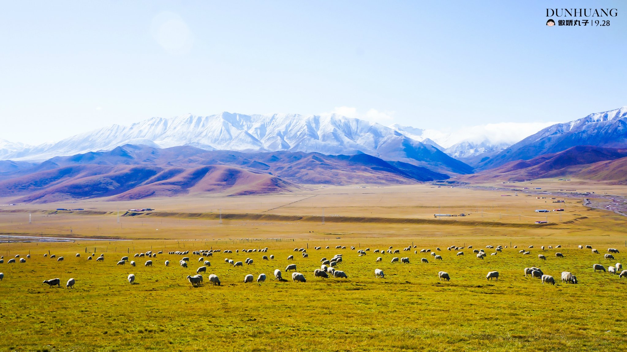 大美肃北旅游攻略 祁连雪山草原全景