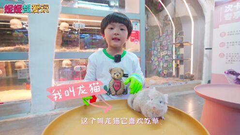 萌呀乐园安卓版 亲子互动场景