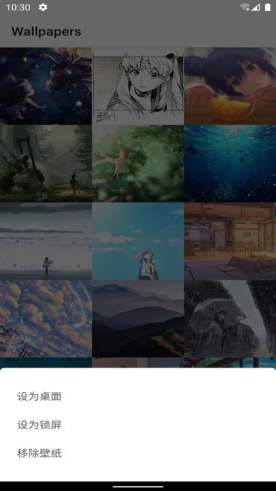 自动壁纸 安卓版 操作界面