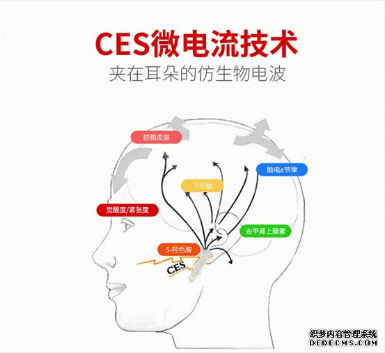 鹏脑助眠正确使用方法和时间安排