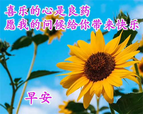见吗 见面聊天暖心短句 配图