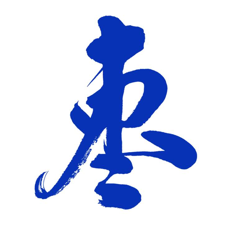 枣解决枣满意1.9.3 政务诉求服务平台