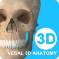 维萨里3D解剖7.1.1 三维人体解剖学习