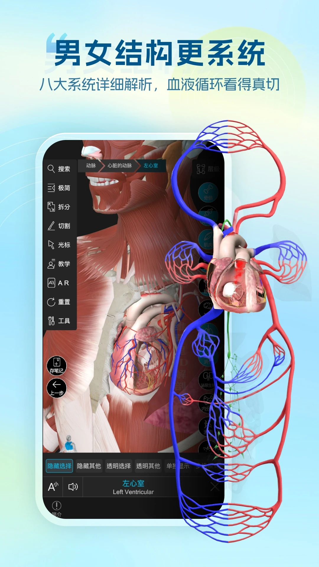 ά����3D����7.1.1 ��ά�������ѧϰ