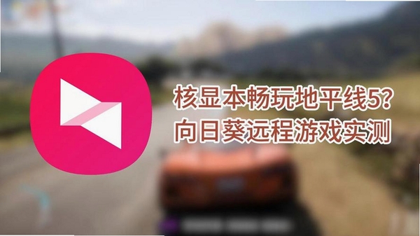 向日葵远程控制13.1.0.65740 远程桌面控制 向日葵远程控制13.1.0.65740 远程桌面控制