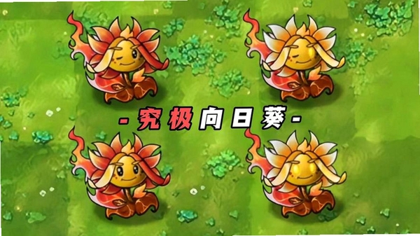 向日葵远程控制13.1.0.65740 远程桌面控制 向日葵远程控制13.1.0.65740 远程桌面控制
