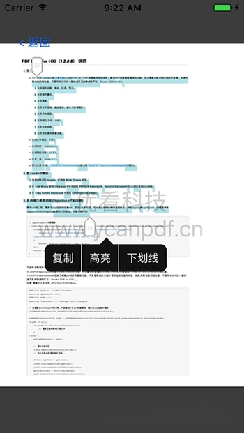 �ſ�PDF�Ķ���2025 ���ɼ����Ķ�