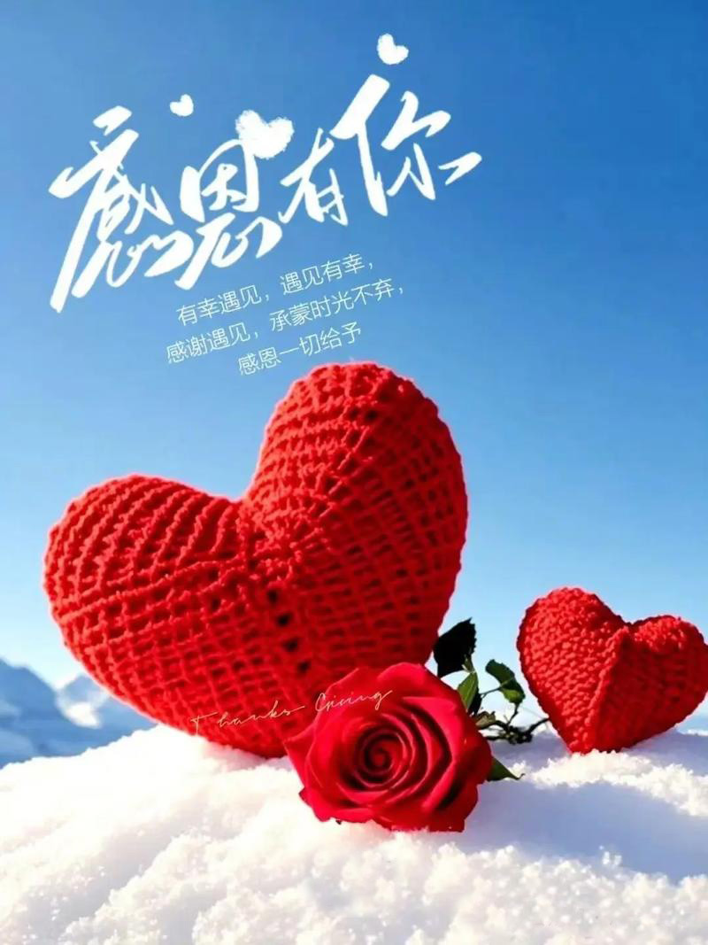 有幸相伴 感恩生活中的每一段温暖同行