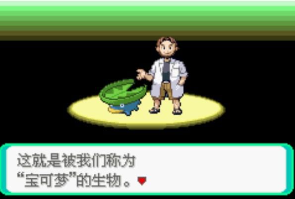 口袋妖怪run and bun中文汉化金手指版 口袋妖怪run and bun中文汉化金手指版