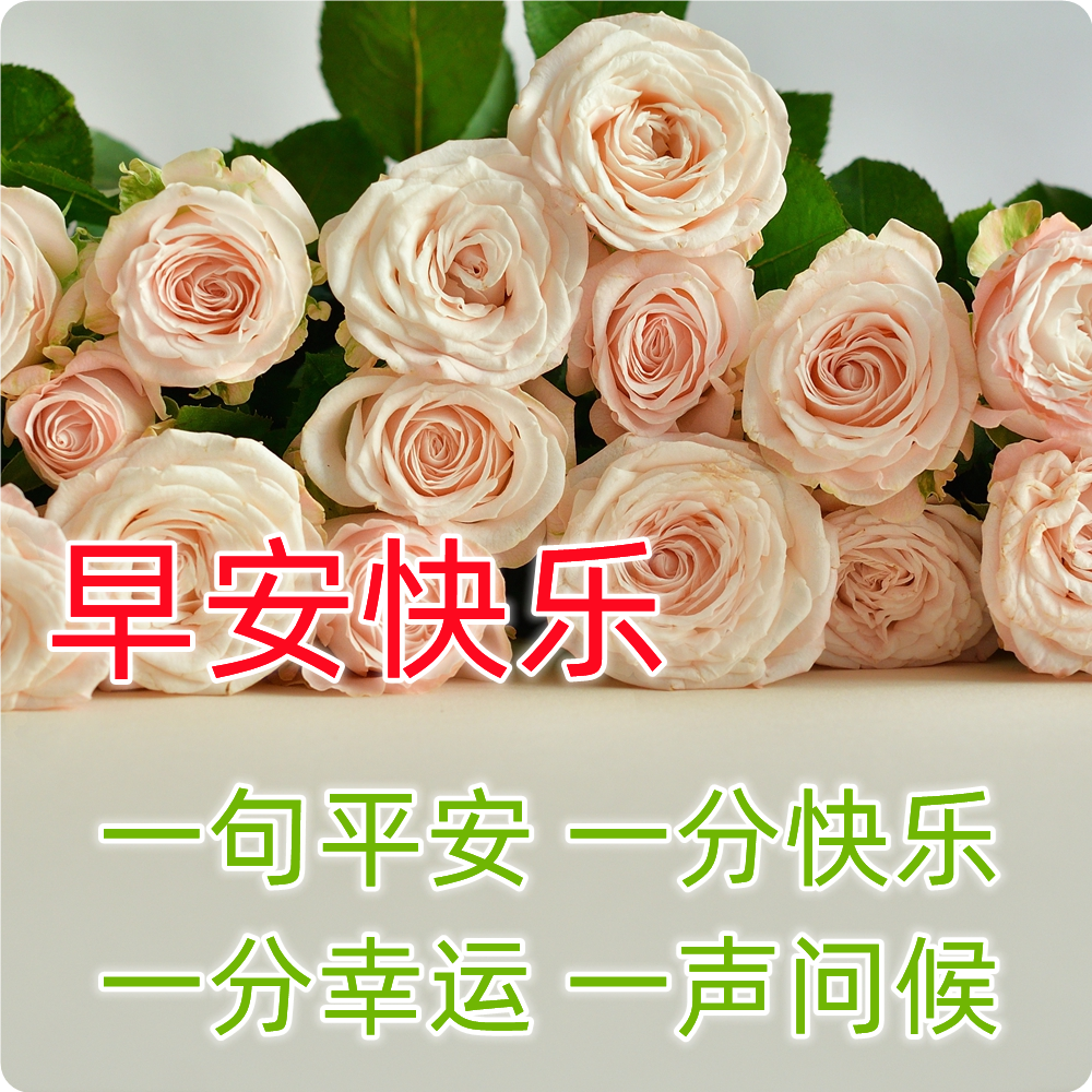 好事发生 祝福语大全 暖心短句合集