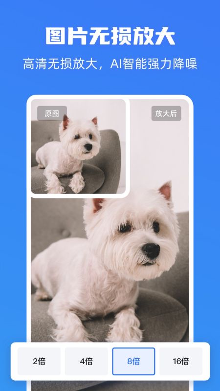 �˸�ʽͼƬ����Ŵ���Win��v2.0.6.8 ����Ŵ�����