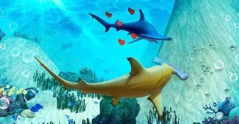 ��ͷ��ģ��3D��Ϸ���ĺ��������أ�Hammerhead Shark Simulator 3D��