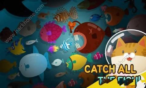 The Fishercat���ֽ�Ұ�׿��