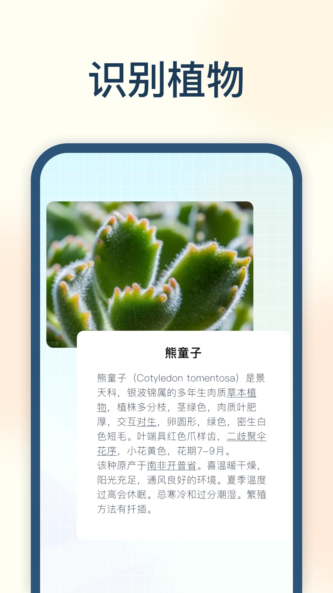 试卷星v3.2.0 试卷整理打印工具 试卷星v3.2.0 试卷整理打印工具