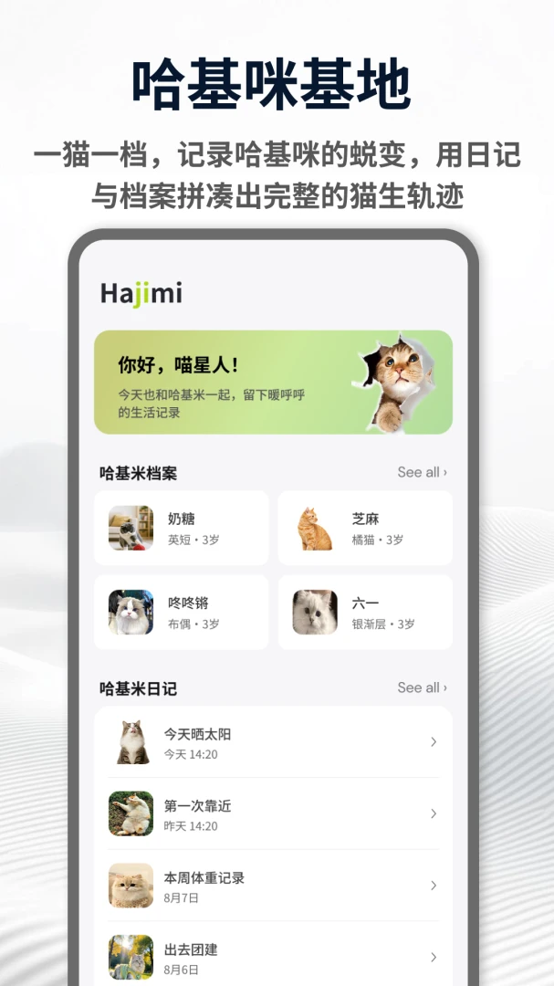 ������Hakimi1.0.4 ������Ƶ����
