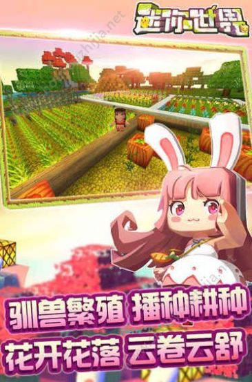 �������粻���¾ɰ汾�ٷ�����