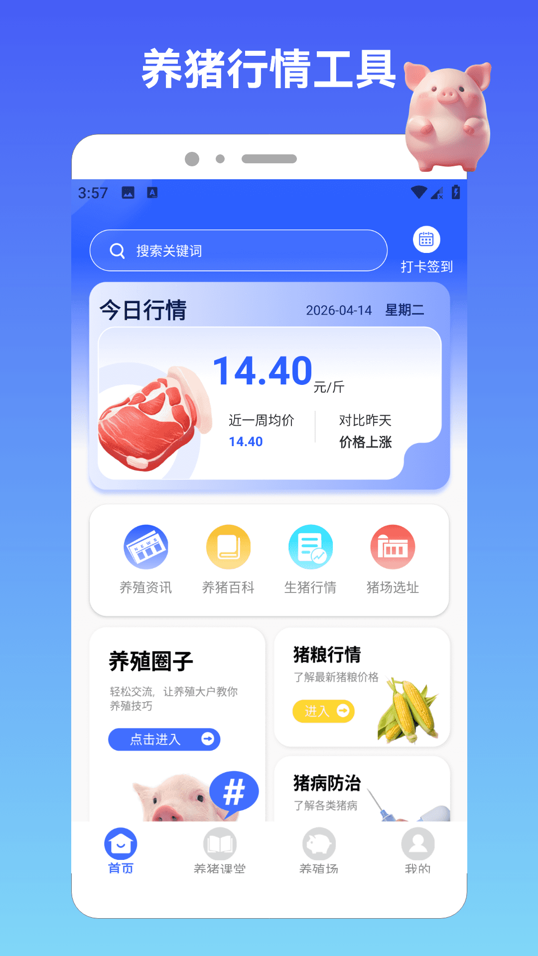 猪猪往前冲20261.4 休闲赚钱版