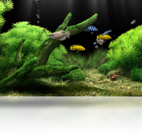 Dream Aquarium 2 破解 安卓版