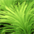 �λ�ˮ����Dream Aquarium2.0 רҵ�� ���涯̬ˮ��ģ��