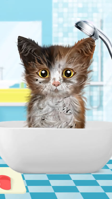 猫咪大变身Cat Makeover游戏安卓版装扮养成试玩截图教程