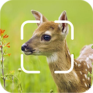 TrailCam Go2.10.5 ԽҰ��λ��¼